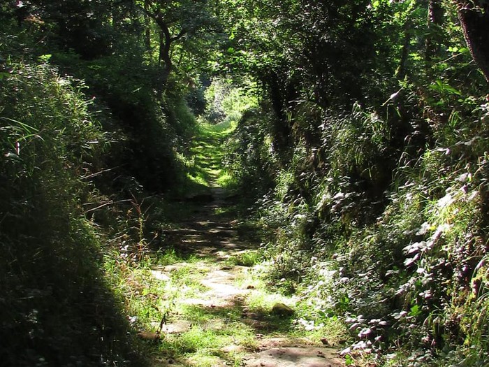 rutas senderismo cantabria