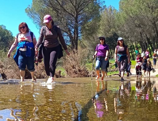 Montes Comunlaes, Adamuz