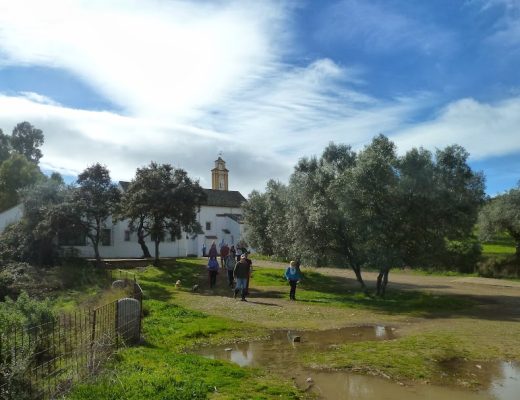 Paseo por los afluentes del Pedroche