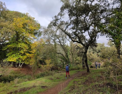 Al Bejarano desde el Bañuelo - Senderos Cordoba