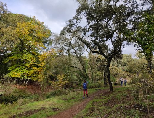 Otoño en el Bejarano