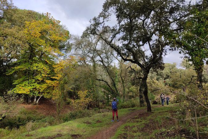 Otoño en el Bejarano - Senderos Cordoba