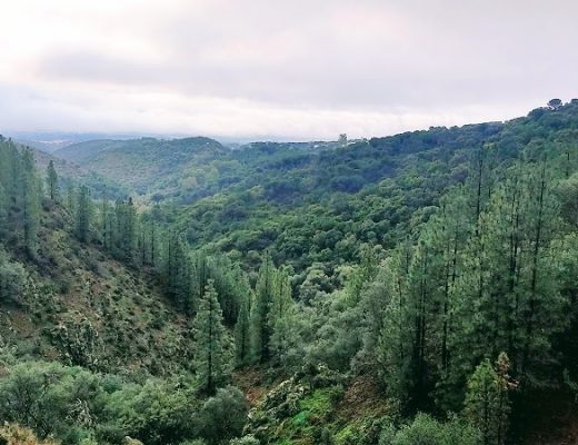 Arroyo Barrionuevo Córdobeando - Senderos Cordoba