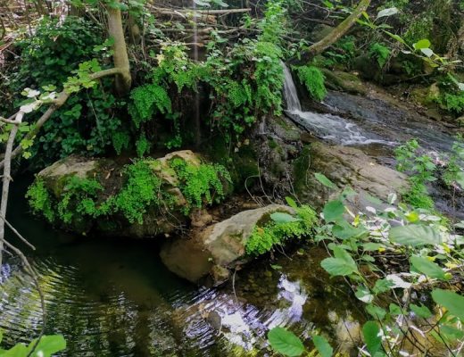 Paseo por el arroyo Bejarano