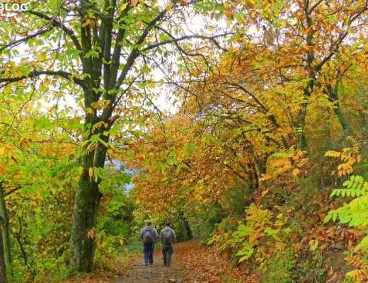 Bosque del Cobre, Valle del Genal - Senderos Cordoba