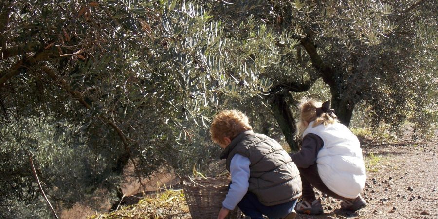 Oleoturismo en Sierra Moreno