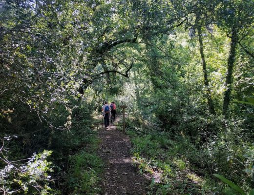 Miércoles en el arroyo Bejarano