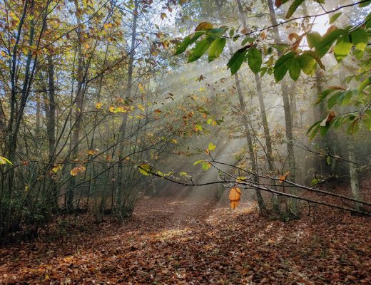 Otoño en Valdejetas - Senderos Cordoba