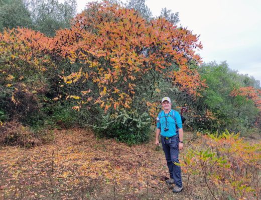 Otoño en el Desierto del Bañuelo
