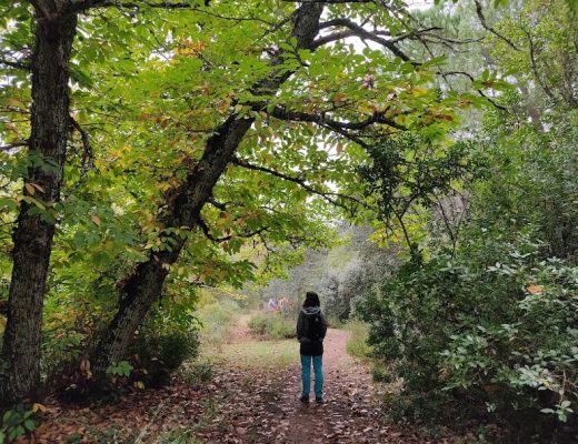 Mindfulness en plena naturaleza - Senderos Cordoba