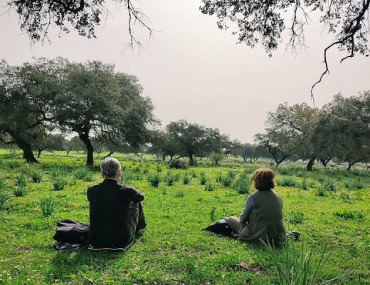 Mindfulness bajo las estrellas en plena naturaleza - Senderos Cordoba