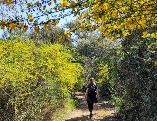 Paseo por la Canchuela - Senderos Cordoba