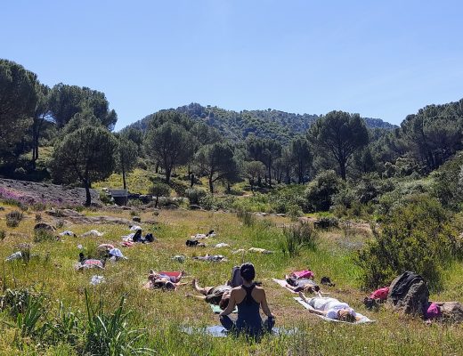 Yoga en plena naturaleza