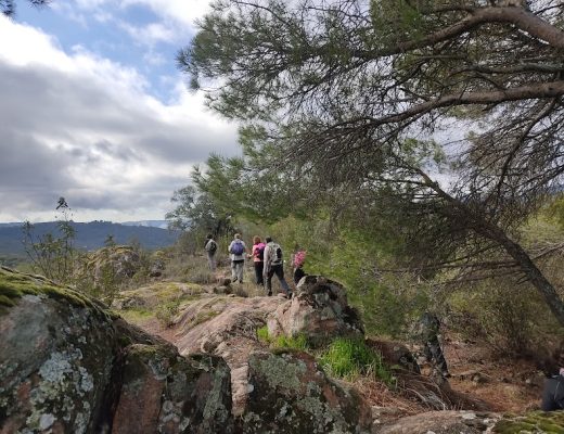 Vereda del Villar y Picapedreros entre semana