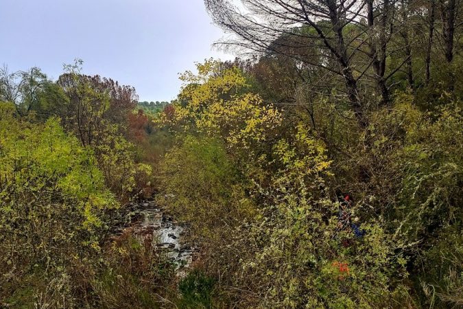 Paseo por el arroyo Don Lucas - Senderos Cordoba