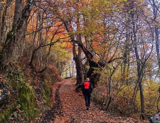 Piérdete  con nosotros por el otoño del Bierzo y los Ancares. - Senderos Cordoba