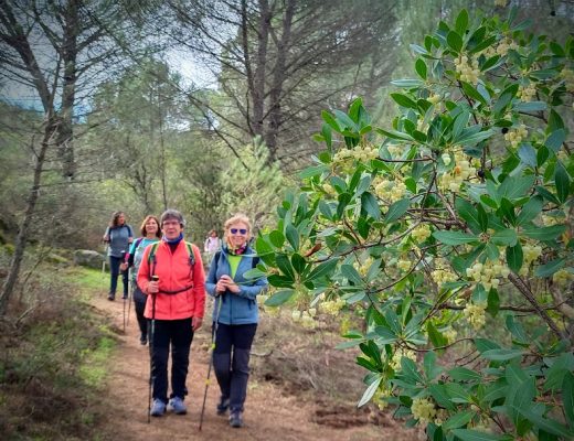 Paseo por el sendero botánico - Senderos Cordoba