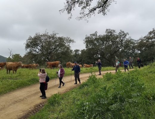 Miércoles en la Vereda de la Canchuela