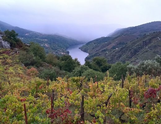 Otoño en la Ribera Sacra