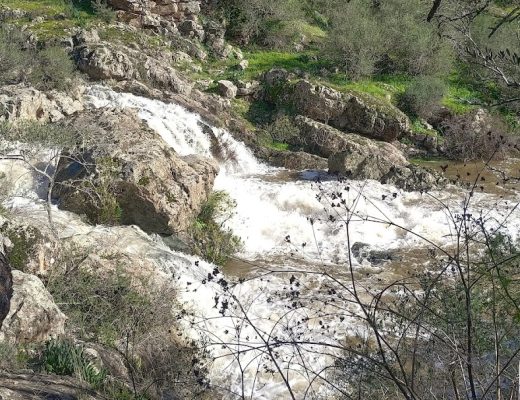 Paseo por el arroyo Guadalbarbo - Senderos Cordoba