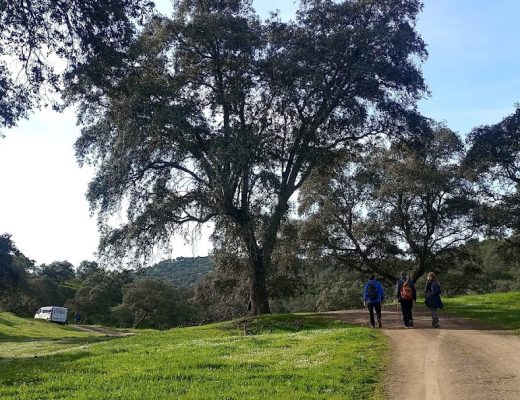 Sendero de la Huída