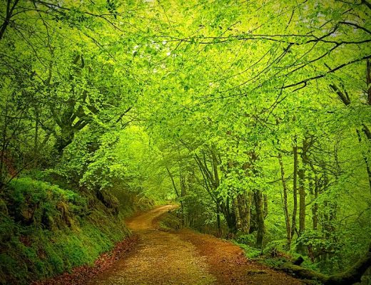 Otoño en el Parque Natural de Ponga - Senderos Cordoba
