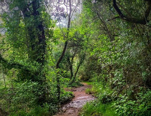 Baños de Popea, arroyo Bejarano