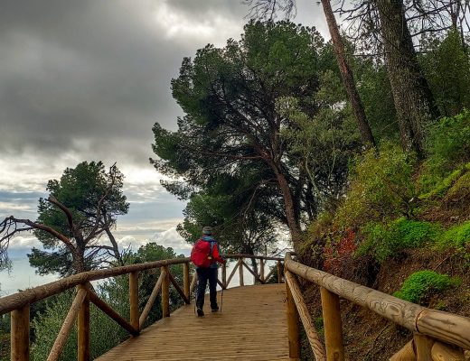 Paseo jueves 29 octubre
