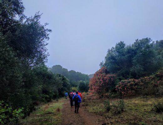 Paseo por los zumaques del Bañuelo