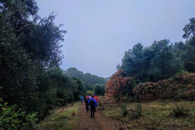 Paseo por los zumaques del Bañuelo - Senderos Cordoba