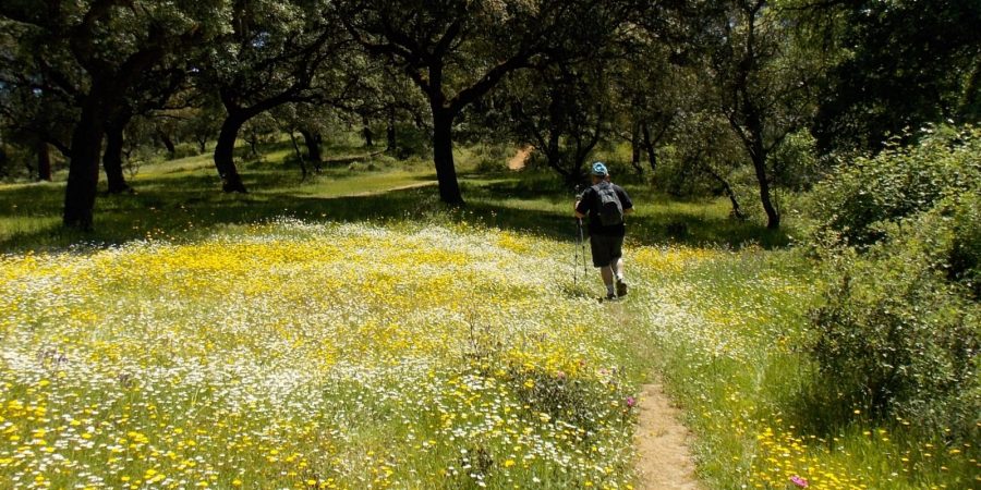 Descubre el arroyo Bejarano