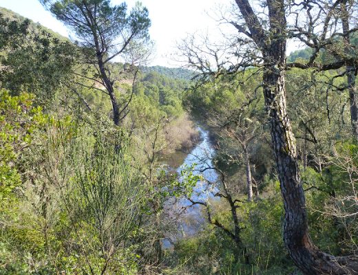 Arroyo Bejarano - Senderos Cordoba