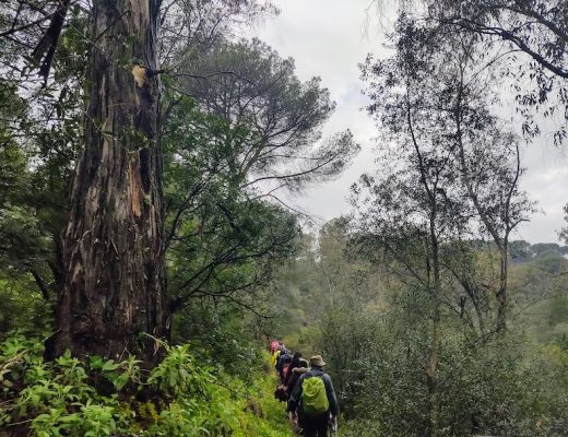 Entre semana por la Sierrezuela de Villafranca