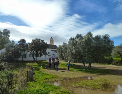 Paseo por los afluentes del arroyo Pedroche