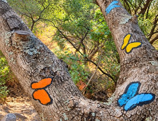 Senda de las mariposas entre semana