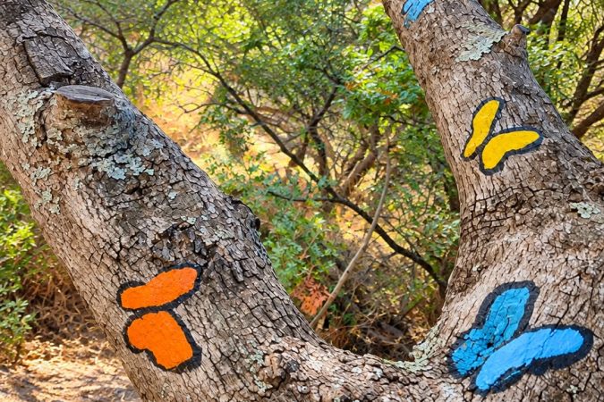 Senda de las mariposas entre semana - Senderos Cordoba